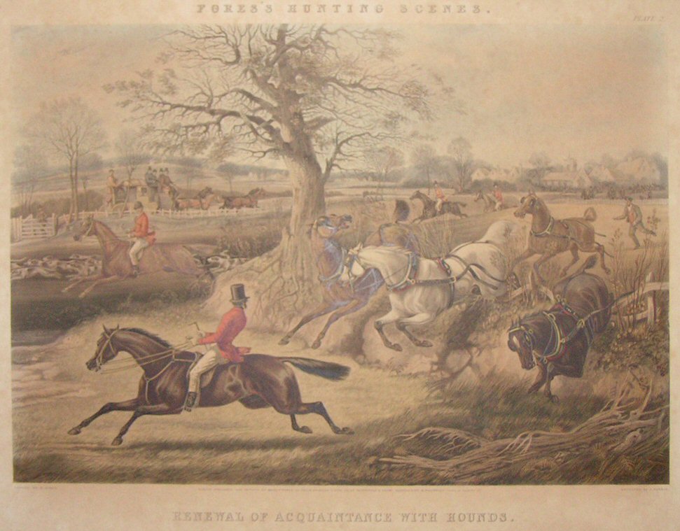 Aquatint - Fores's Hunting Scenes. Renewal of Acquaintance with Hounds. - Harris